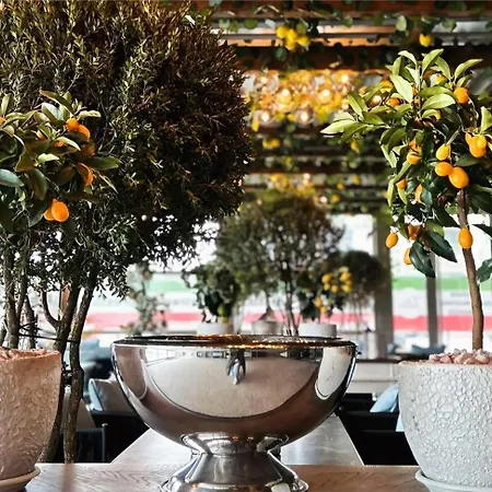 Sea Paradise Năvodari