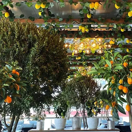 Sea Paradise Appartement Năvodari