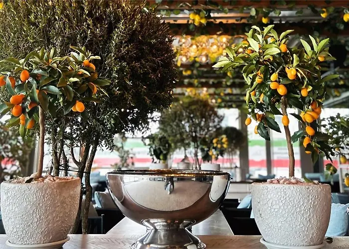 Sea Paradise Năvodari